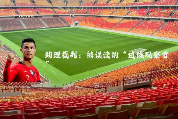 助理裁判：被误读的“边线观察者”